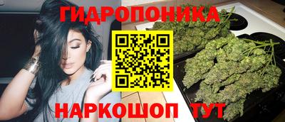 прущие грибы Гай