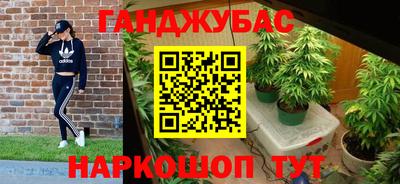 прущие грибы Гай