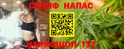 прущие грибы Гай