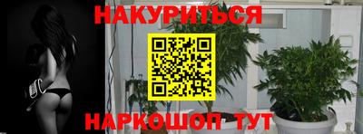 прущие грибы Гай
