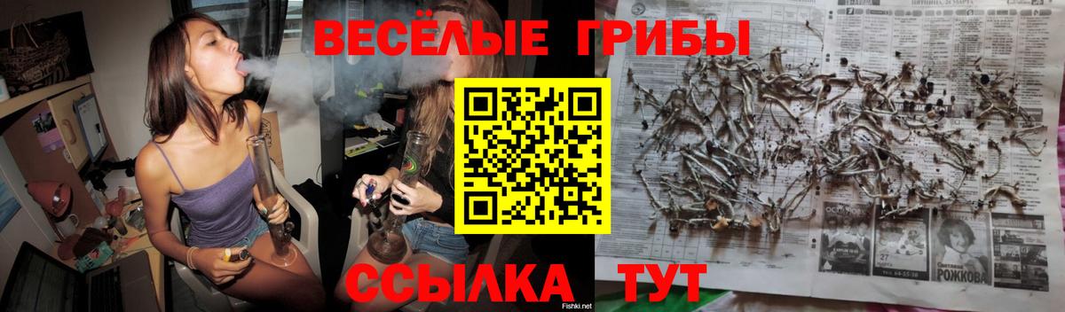 Галлюциногенные грибы Magic Shrooms  Галлюциногенные грибы прущие грибы  Вход с VPN  Новоуральск 